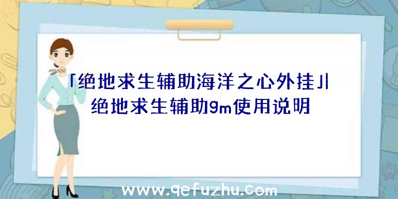 「绝地求生辅助海洋之心外挂」|绝地求生辅助gm使用说明